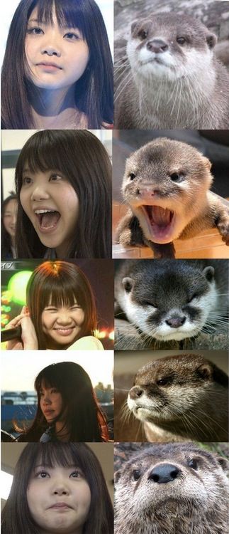 画像の説明